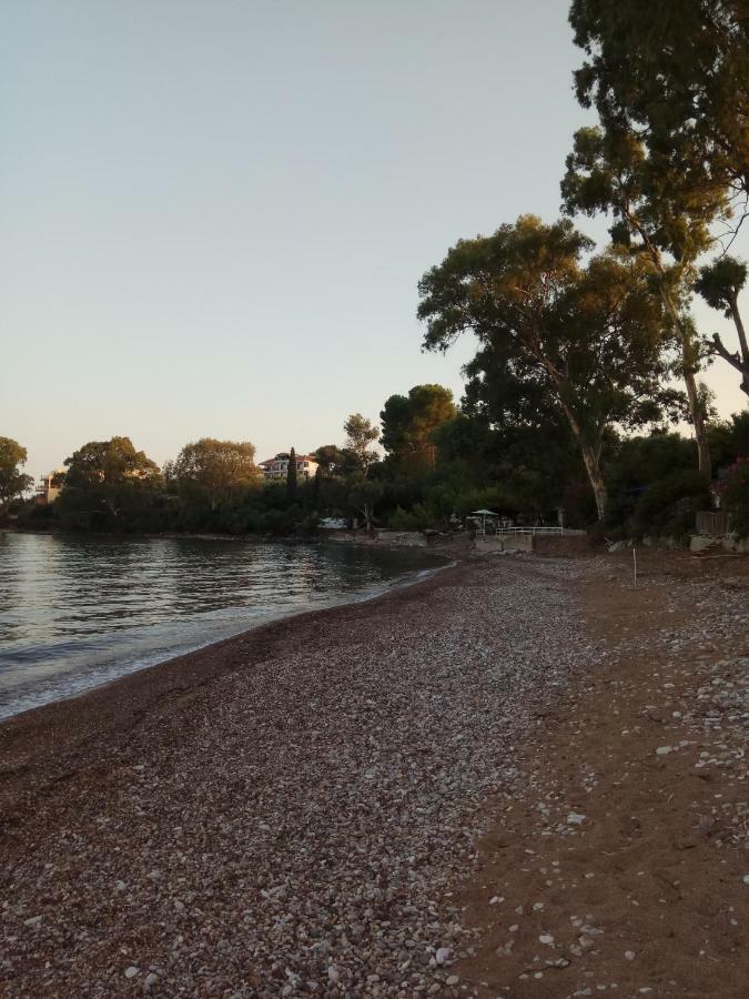 Апартаменты Petalidi Fragkos Экстерьер фото